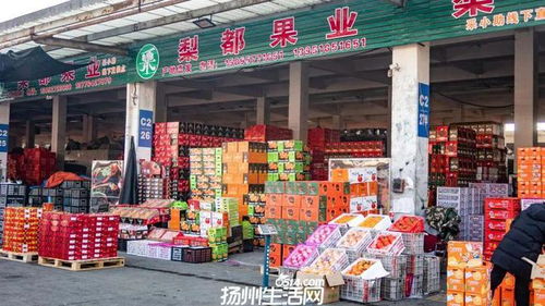 658畝大型商業地塊亮相，揚州這一區域展現農副產品流通新野心