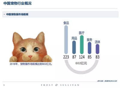 高收入、高學歷的單身人群，養寵前請先算清這筆賬