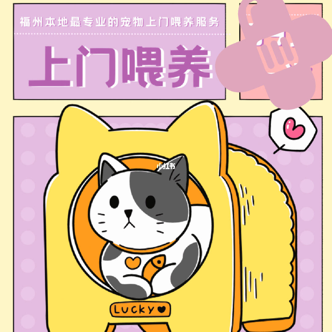 春節期間福州寵物上門喂養服務接單忙，用心守護毛孩子過年團圓