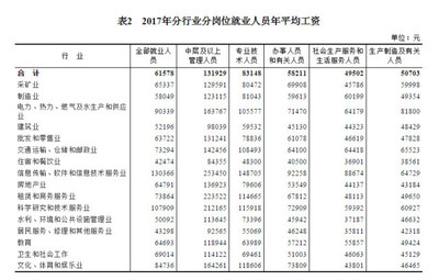 2017年規(guī)模以上企業(yè)軟件和信息技術服務業(yè)就業(yè)與投資態(tài)勢分析